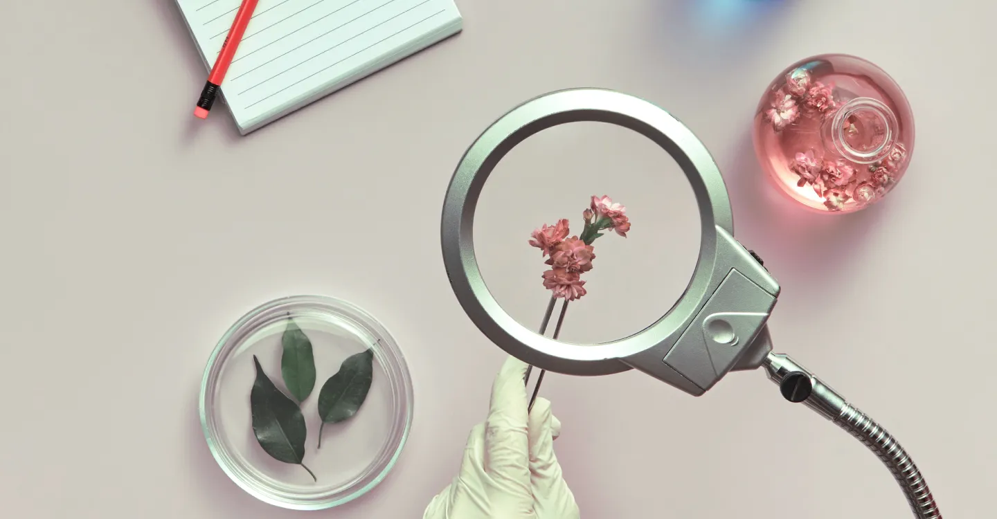 Scientific research floral sample